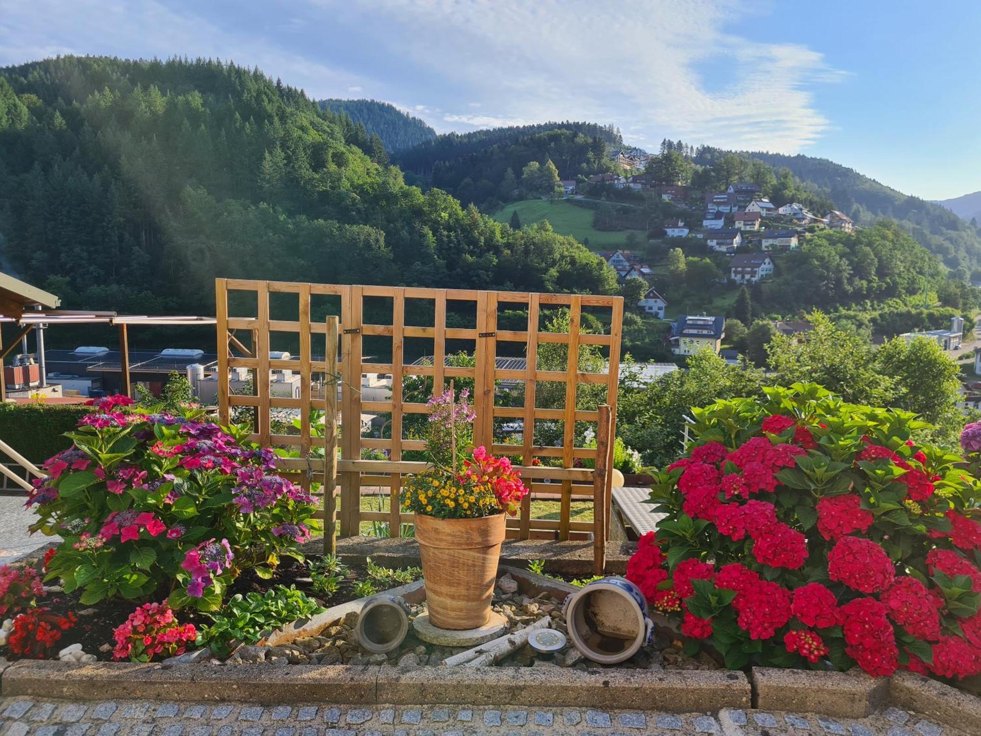 Ferienwohnung Schwarzwaldsteig Bad Peterstal-Griesbach Exterior photo