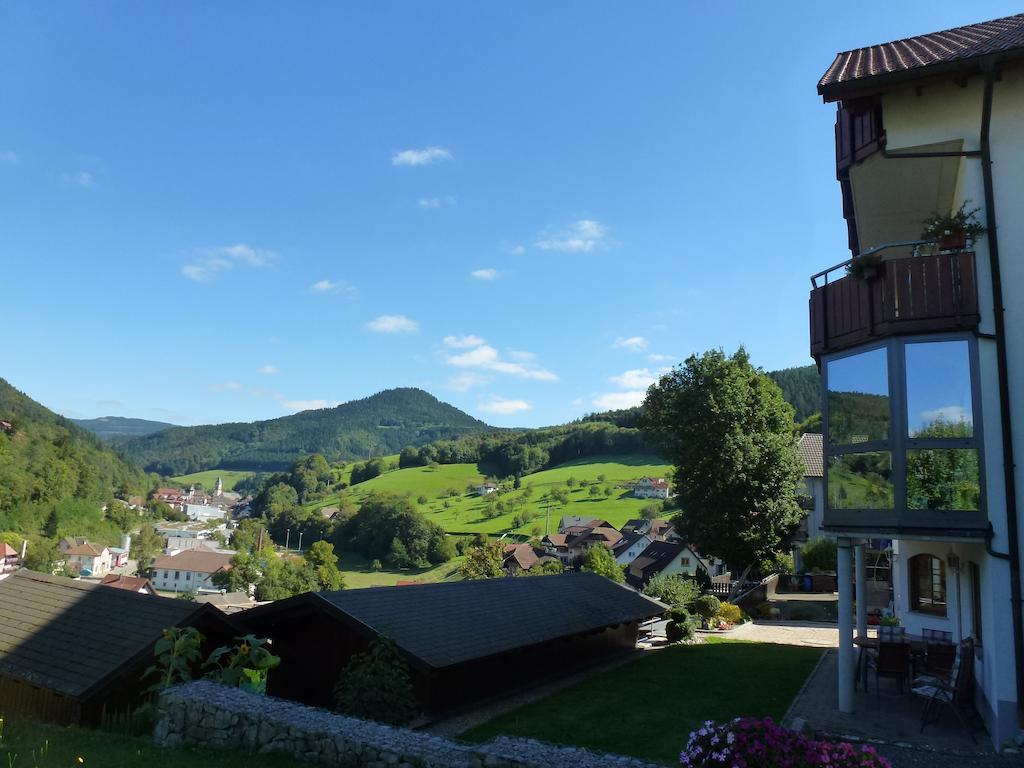 Ferienwohnung Schwarzwaldsteig Bad Peterstal-Griesbach Room photo