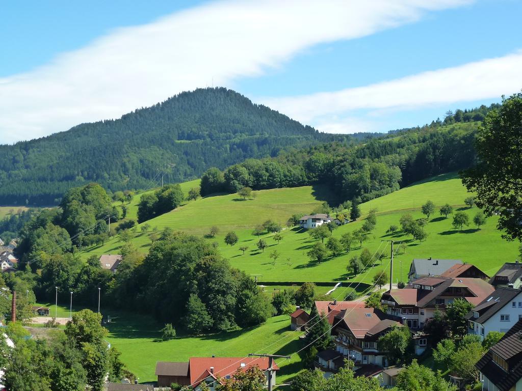Ferienwohnung Schwarzwaldsteig Bad Peterstal-Griesbach Exterior photo